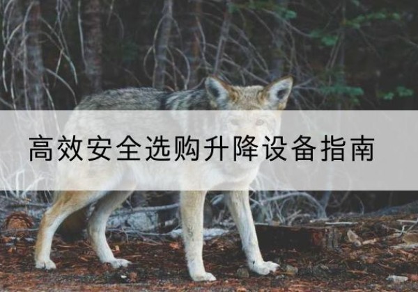 瑞丽升降货梯厂家推荐-*安全选购升降设备指南
