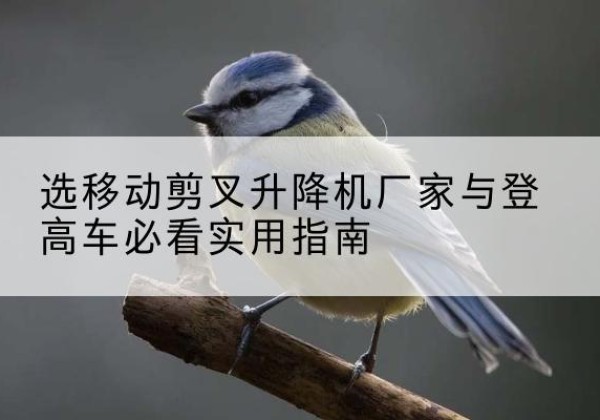 瑞丽电动升降机厂家-选移动剪叉升降机厂家与登高车必看实用指南