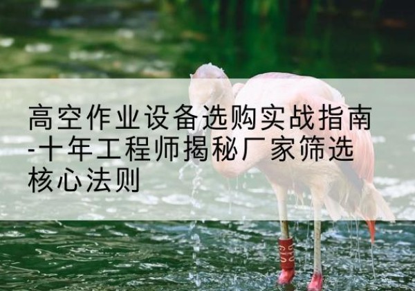瑞丽剪叉式升降机厂家-高空作业设备选购实战指南-十年工程师揭秘厂家筛选核心法则